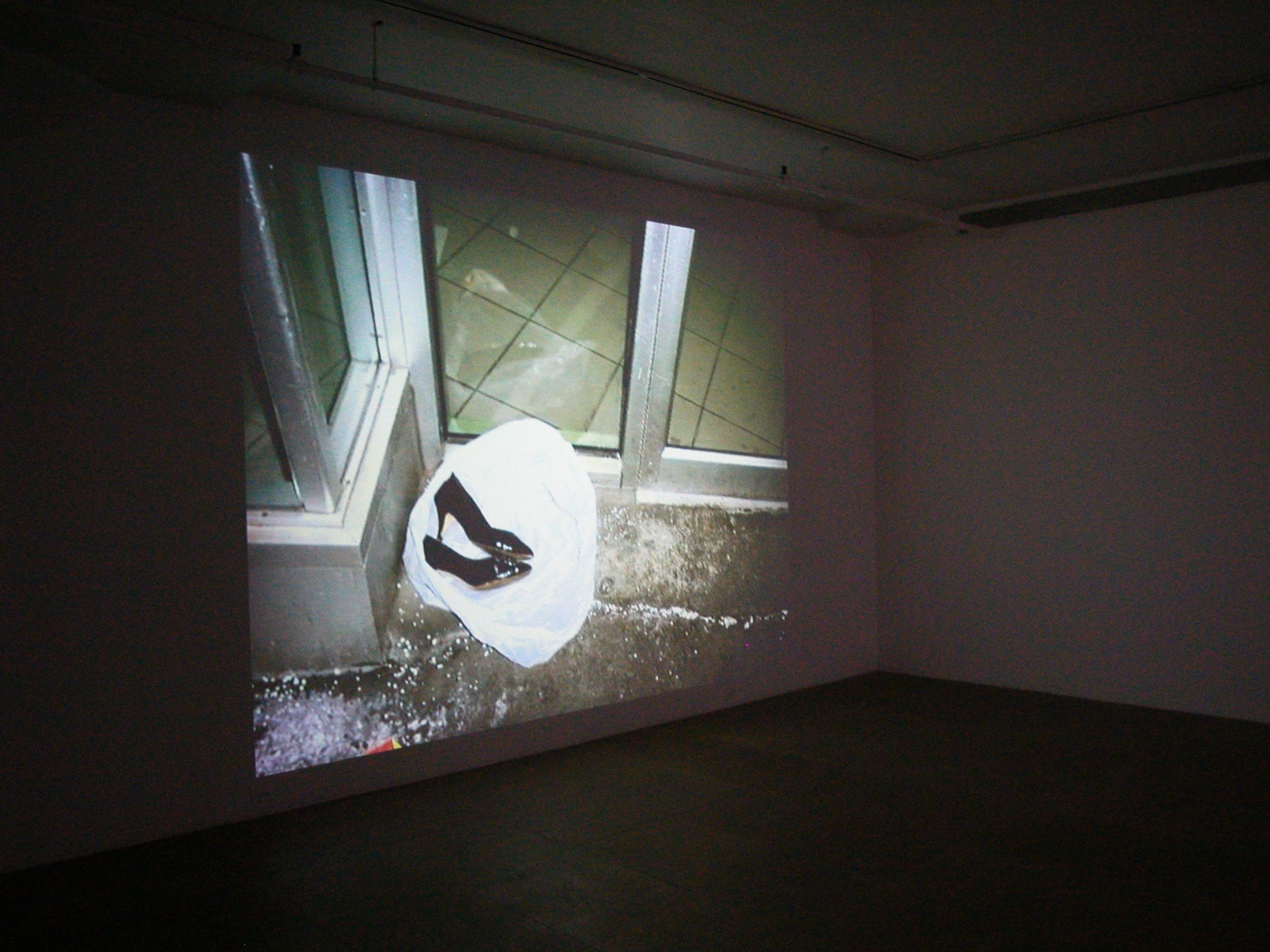 Paul Chan, Tin Drum Trilogy, Greene Naftali, New York, 2006