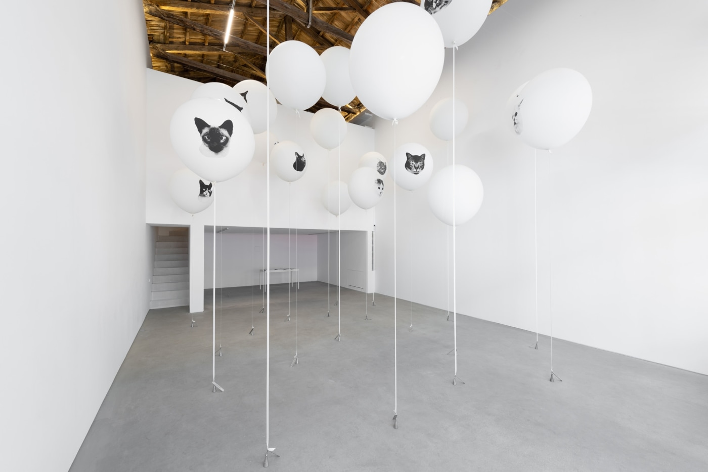 John Knight, Installation view, Headshots, a work in situ, The Intermission, Piraeus, Greece, 2019