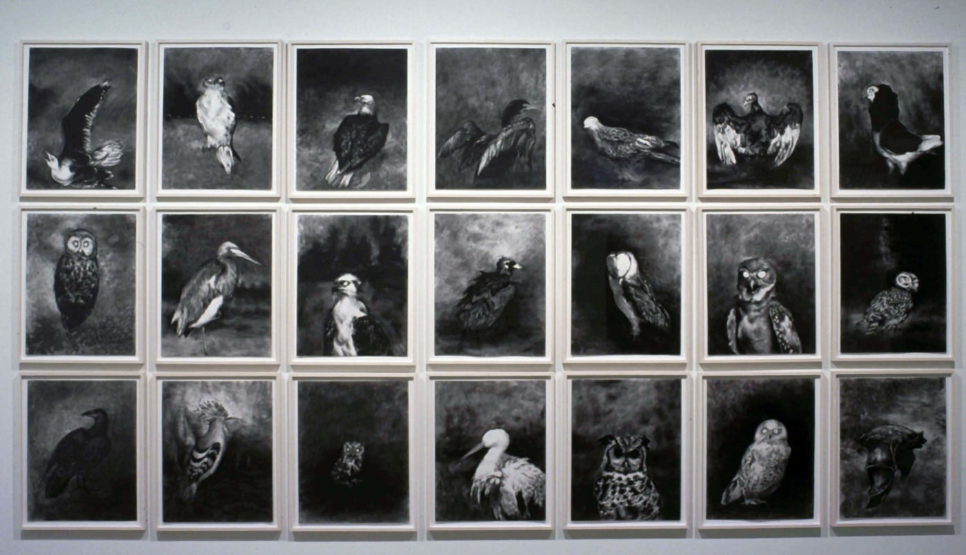 The eagle, the vulture, the black vulture, the red kite, any kind of black kite, any kind of raven, the homed owl, the screech owl, the gull, any kind of hawk, the little owl, the cormorant, the great owl, the white owl, the desert owl, the osprey, the stork, any kind of heron, the hoopoe and the bat -- Leviticus 11:13-19, 2004 charcoal on paper, 23 1/2 x 18 inches each