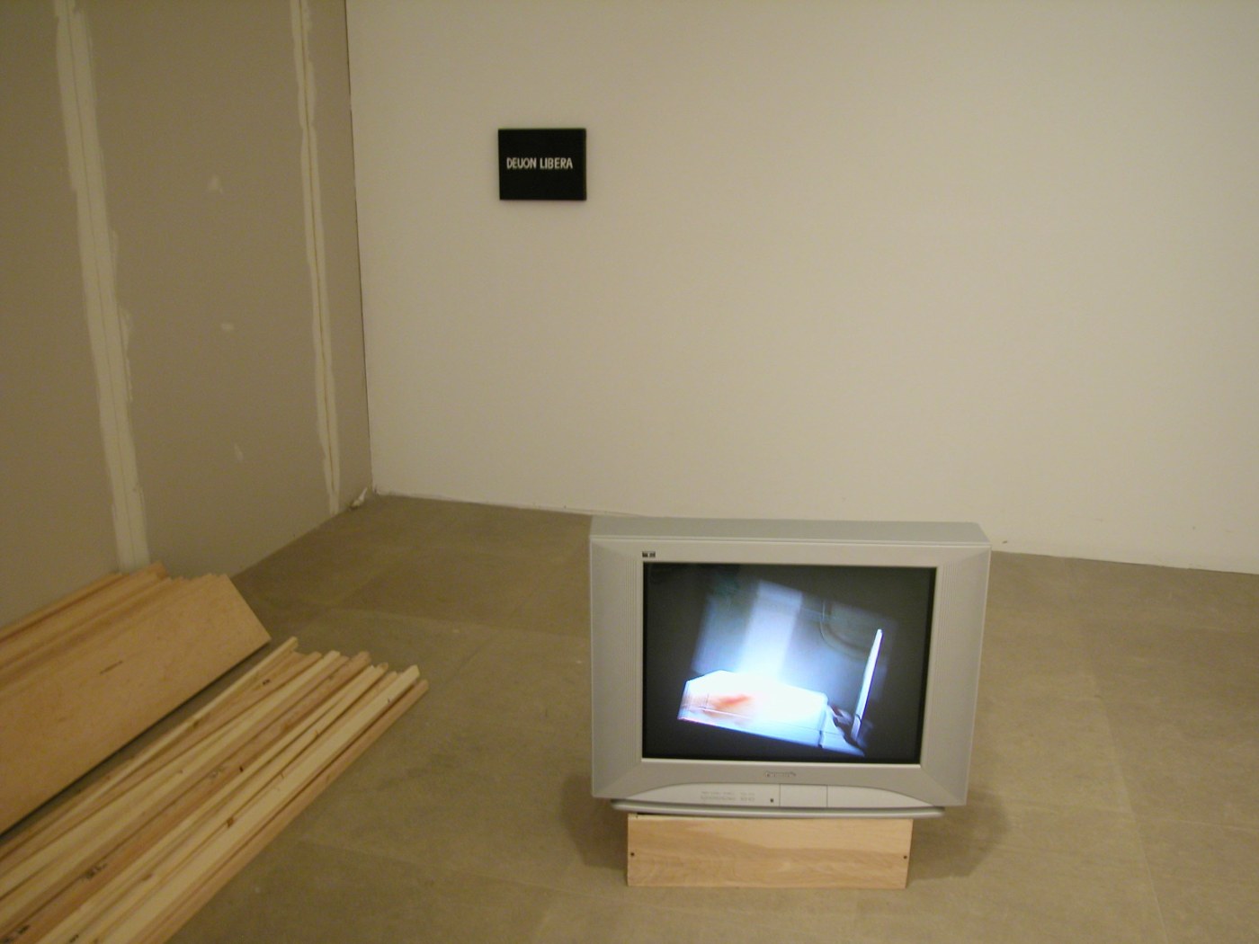 Installation view, Don't Think About Me I'm Alright, Greene Naftali, New York, 2004