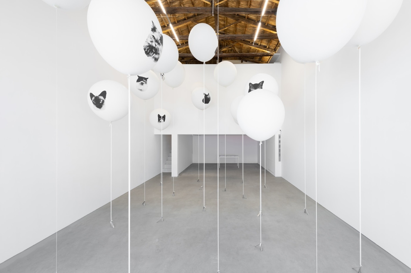 John Knight, Installation view, Headshots, a work in situ, The Intermission, Piraeus, Greece, 2019