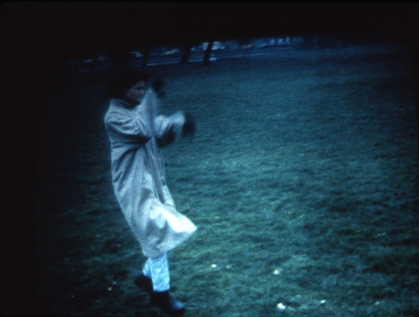 Lucy Gunning The Horse Impressionist, 1994 (still) 7:24 min