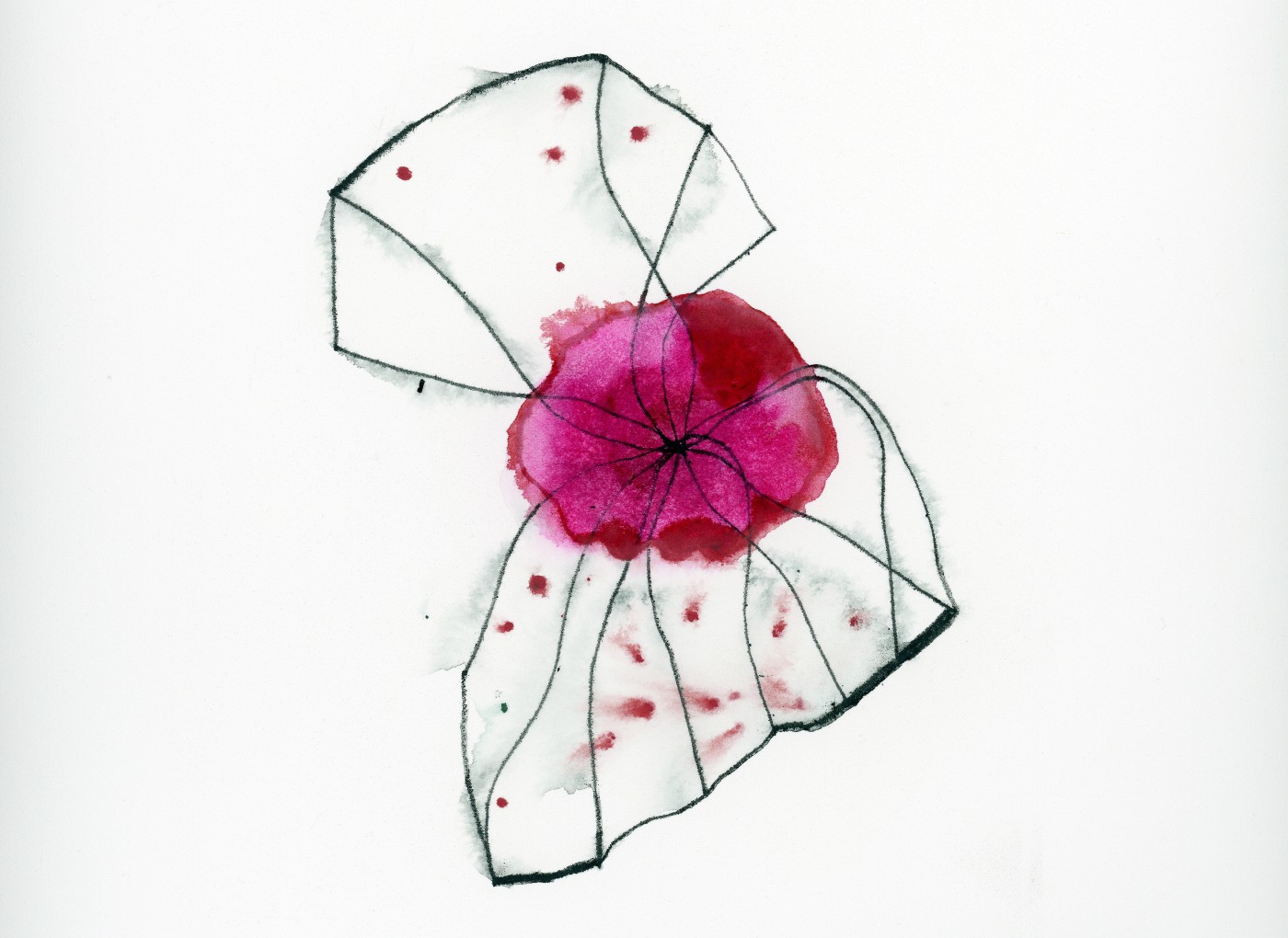 Anjum Singh - Exhibitions - Talwar Gallery