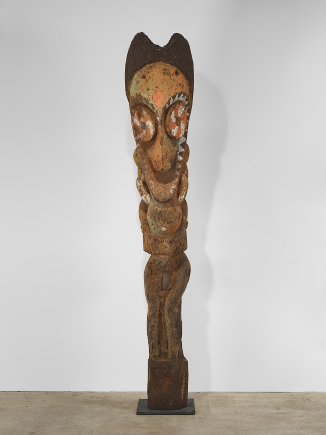 Vanuatu Fern Figure