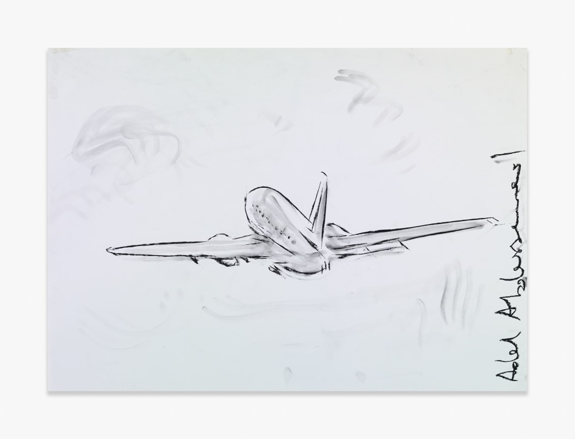 Adel Abdessemed Plane, 2015