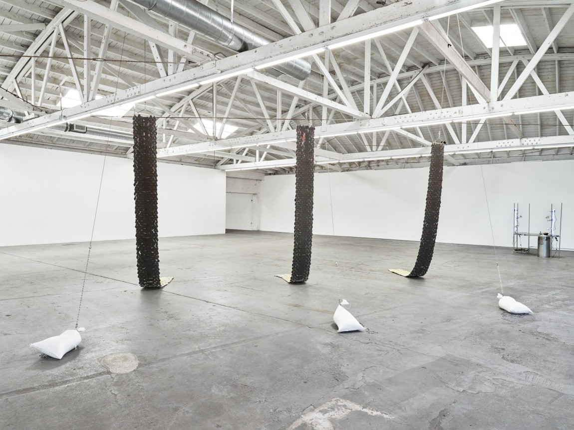 Installation view of snake with sexual interest in own tail, Los Angeles, Venus Over Los Angeles, 2016