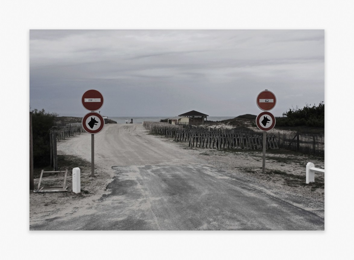 Michel Houellebecq France #017, 2016