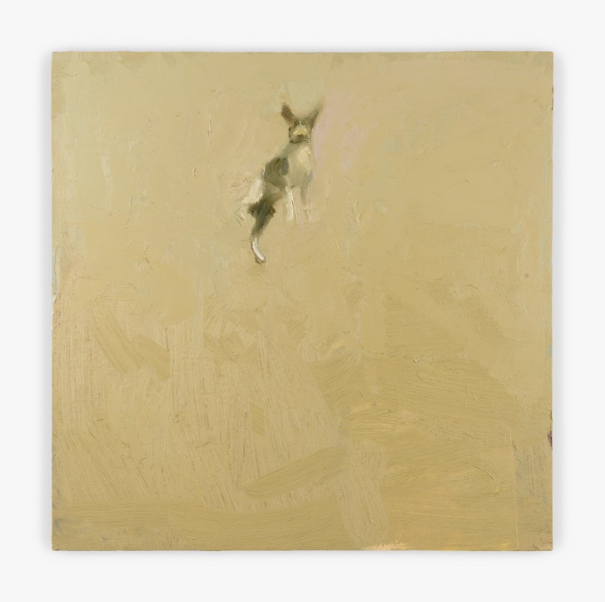 Painting titled Tossed Dog by Seth Becker from 2022