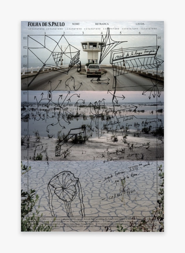 Michel Houellebecq Inscriptions #006, 2016