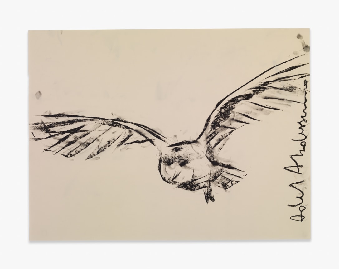 Adel Abdessemed Owl, 2015