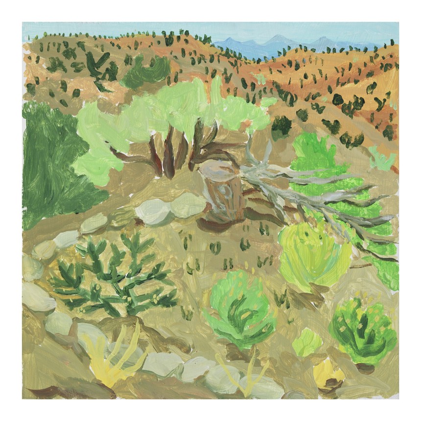 Cacti Mesquite Cholla, 2020, Acrylic on panel