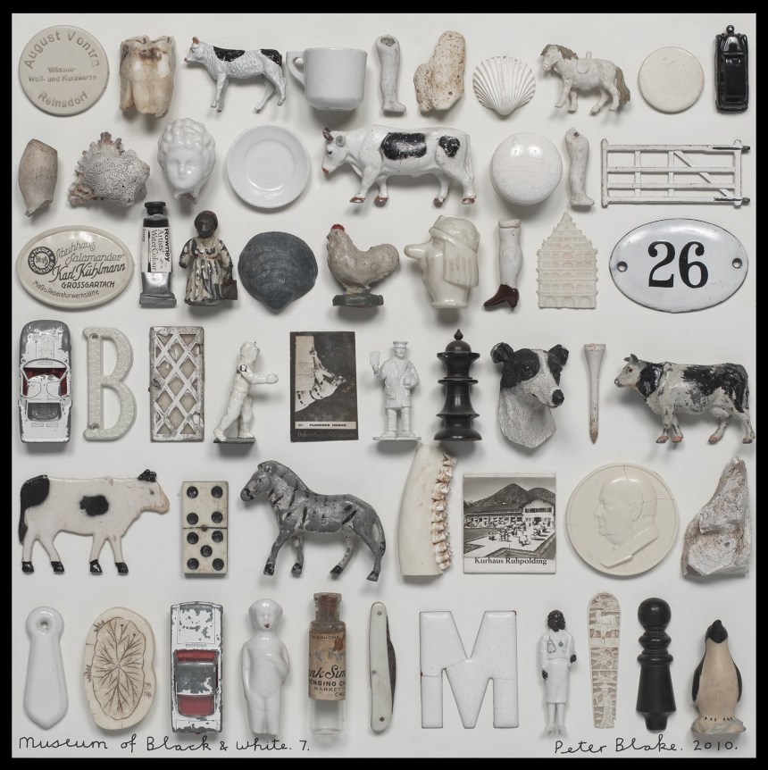 Museum of Black & White #7 (Homage to Mark Dion), 2010, Assemblage on board