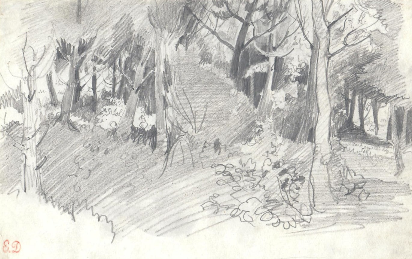 Eugene Delacroix Study of a forest