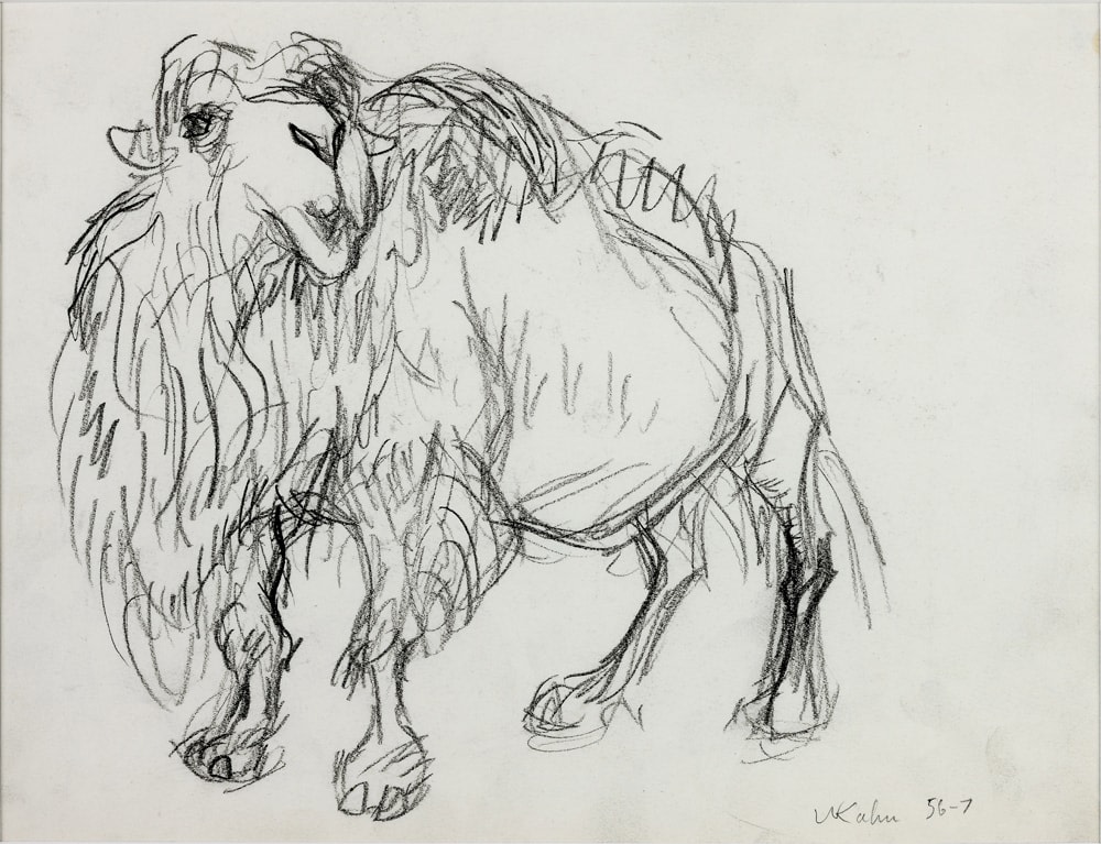 Wolf Kahn, Camel, 1956-57    Pencil 9 x 11 inches