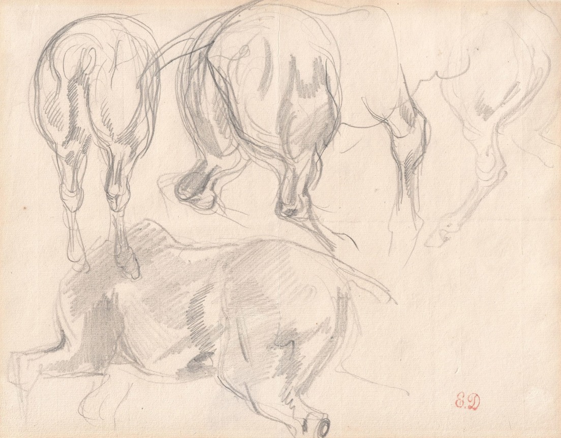 Horses study,  