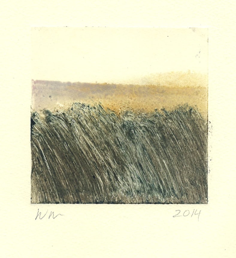 Wendy Mark, Field/ + No One In Sight, 2014