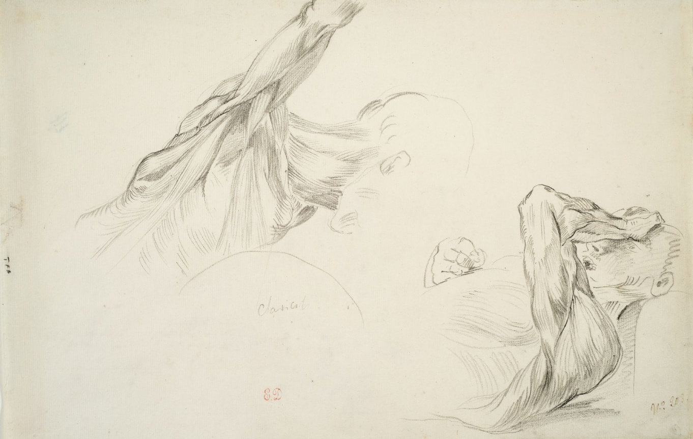 Eugene Delacroix  Two Studies of the Flayed Muscles of a Man's Head and Shoulder (Ecorché – Deux études de la tête et des épaules d’un homme)