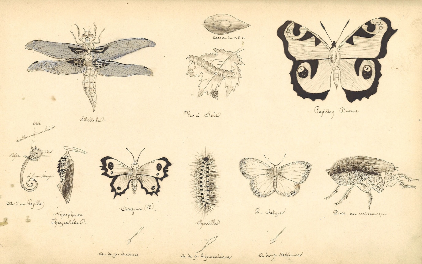 Eva Gonzalès  Sketchbook