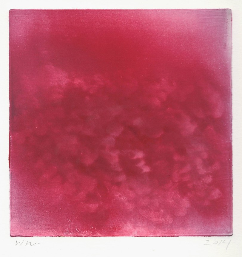 Wendy Mark, Dispersed Red Cloud 4, 2014