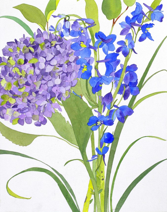 Pamela Sztybel Hydrangea, Delphinium II  Watercolor on paper 13 3/4 x 10 3/4 inches