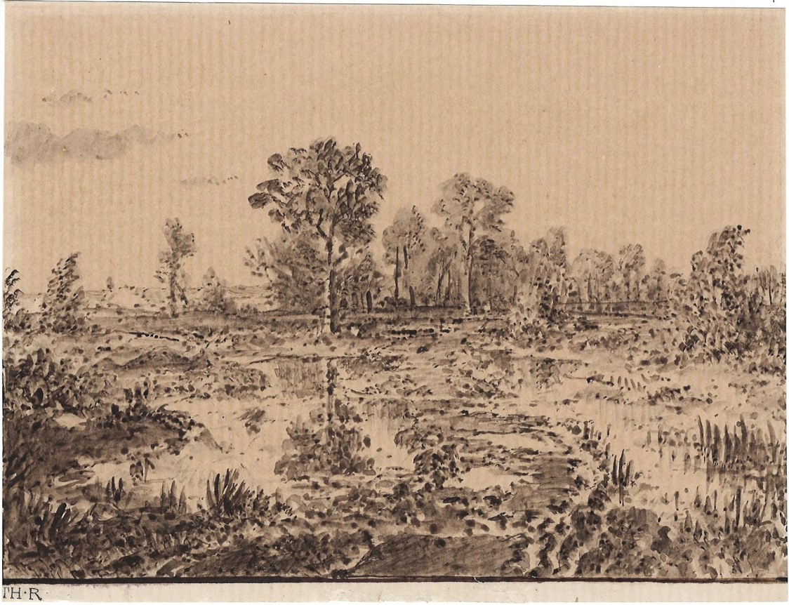 Pond among the Trees, c. 1862    Pen and ink with wash on paper  4 5/8 x 6 inches  Stamped lower left