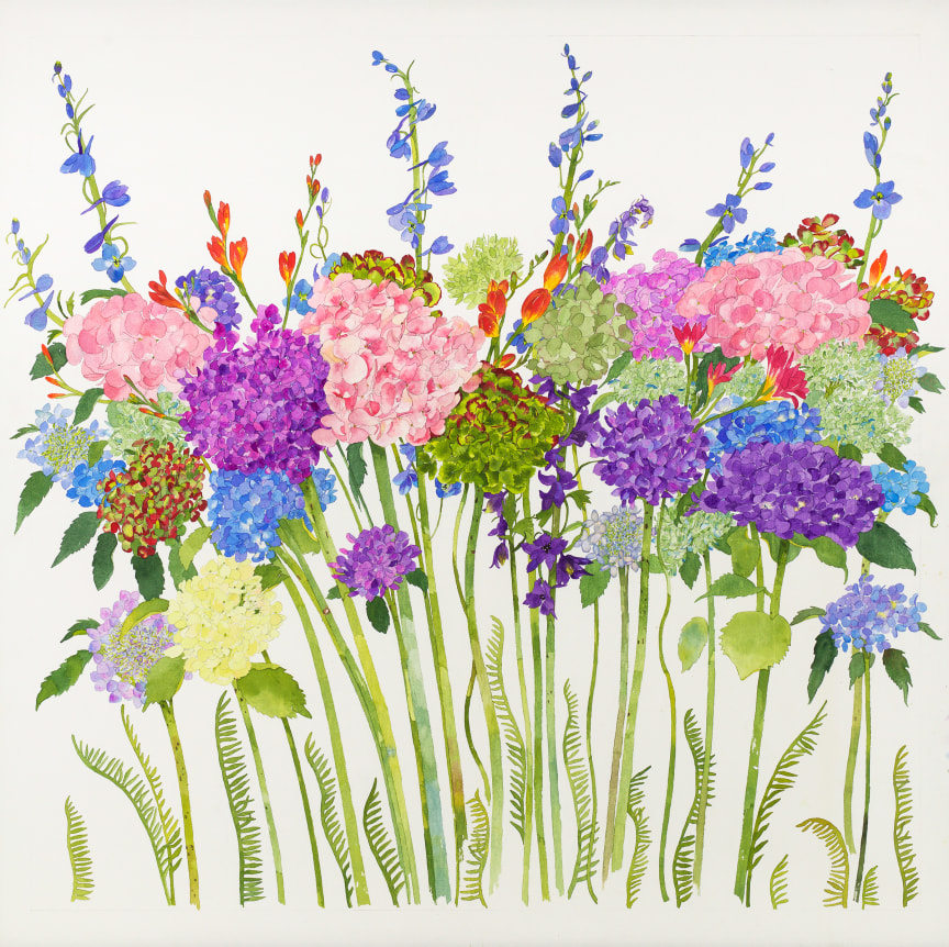 Mostly Hydrangea, Watercolor on paper