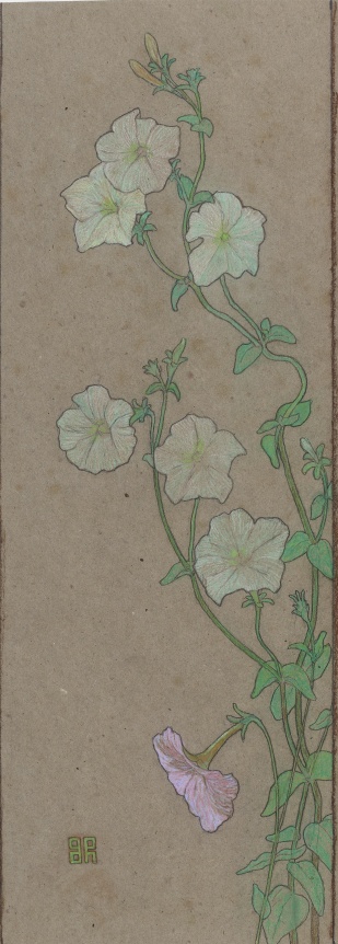 Sigisbert Chrétien Bosch Reitz (1860-1938) Morning Glory, ca. 1900 Colored chalk on paper 21 5/8 by 7 1/2 inches (