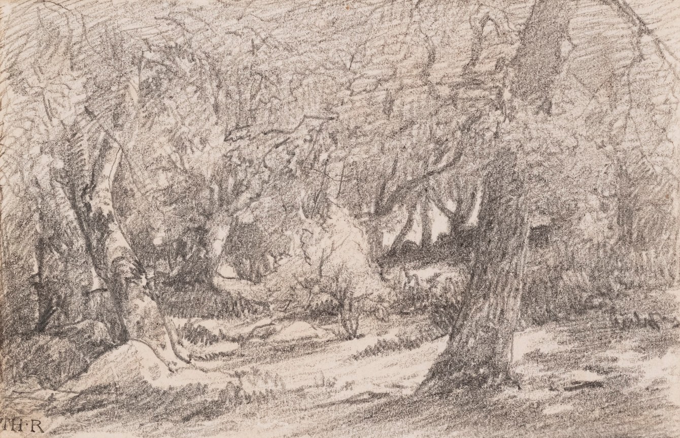 Le Sous-Bois  Conté crayon on paper 3 3/8 x 5 1/8 inches  Initialed lower left