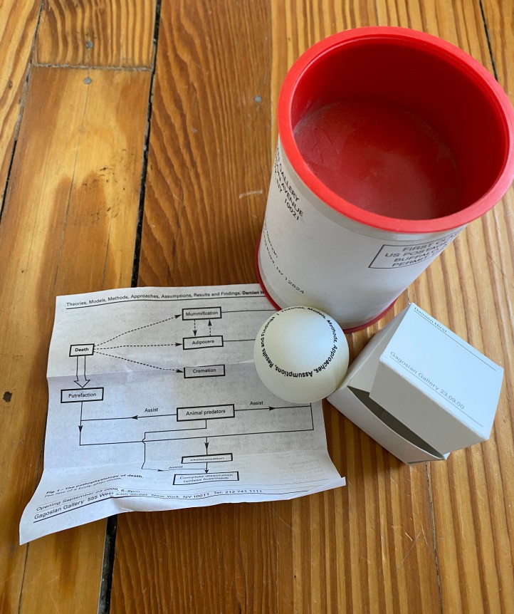 Damien Hirst, Theories, Models, Methods, Approaches, Assumptions, Results and Findings, Alternate Projects