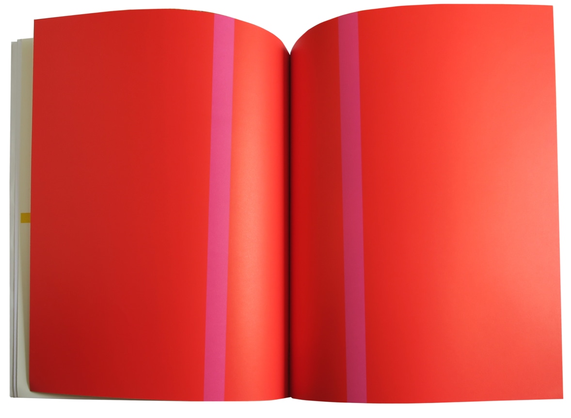 Olivier Mosset  Biennale di Venezia 1990, Alternate Projects