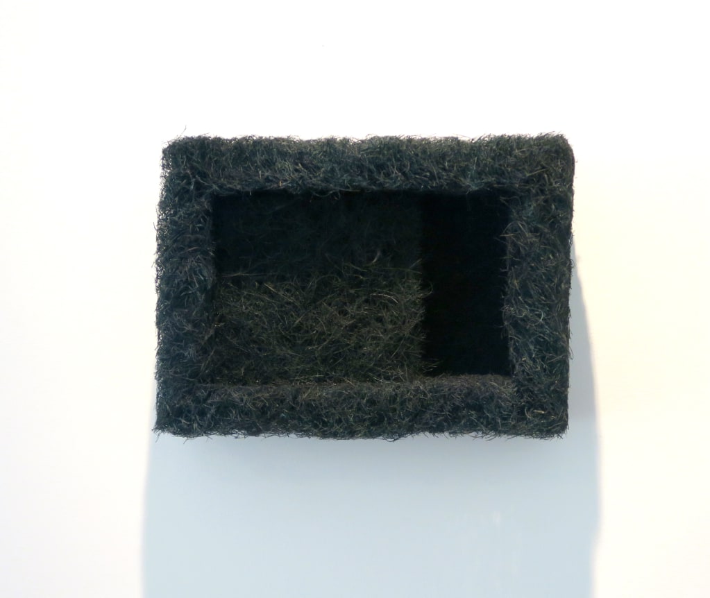 Richard Artschwager, Hair Box (Parkett 23)