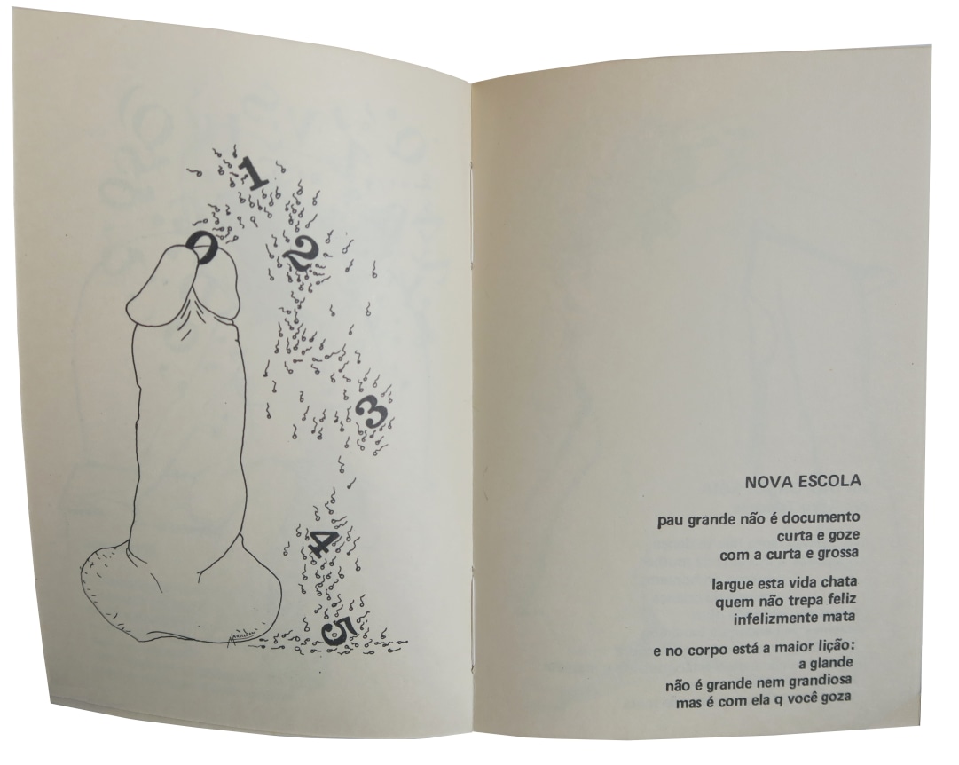 Eduardo Kac 24, Movimento de Arte Porn&ocirc;, Alternate Projects