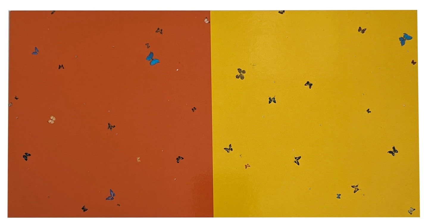 Damien Hirst