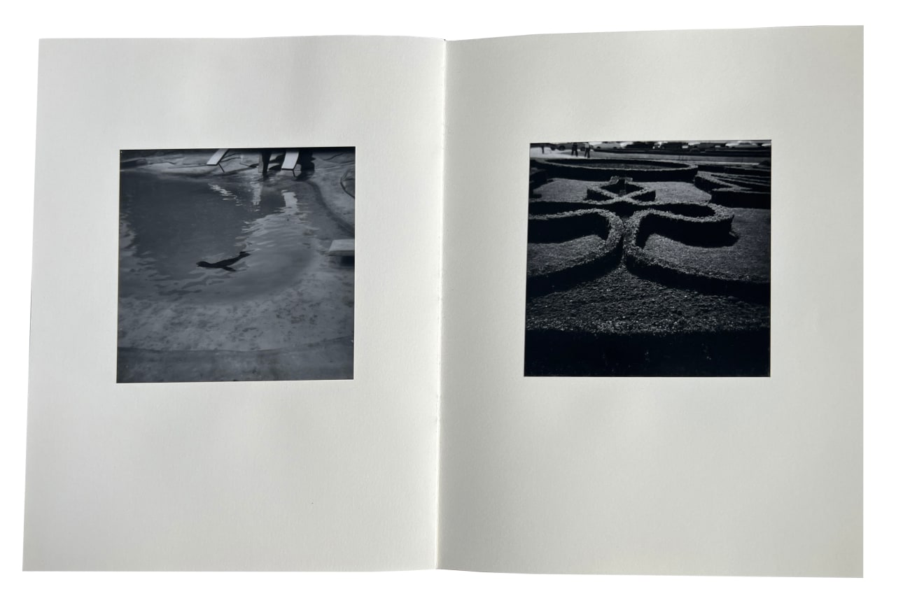 Bea Nettles, Feasts and Feats, Alternate Projects