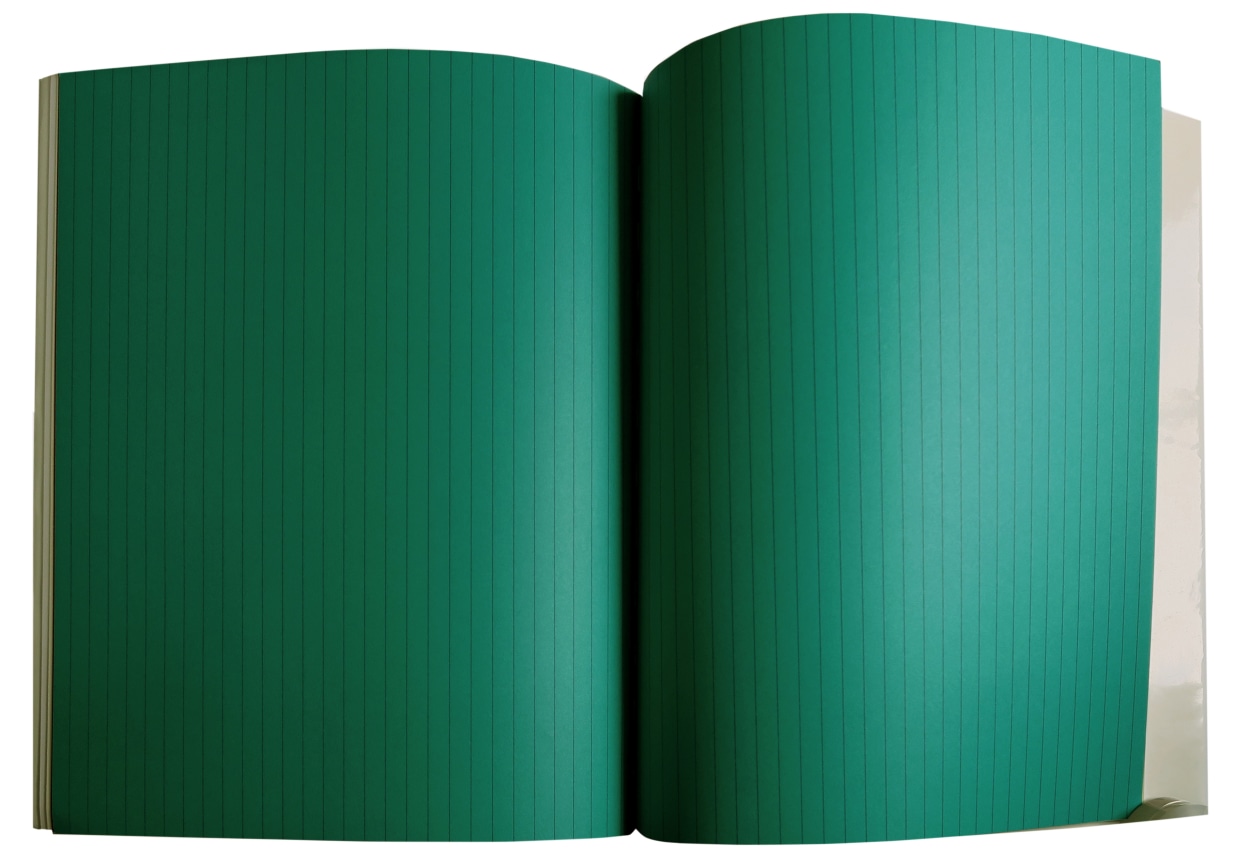 Olivier Mosset - Biennale di Venezia 1990, Alterante Projects