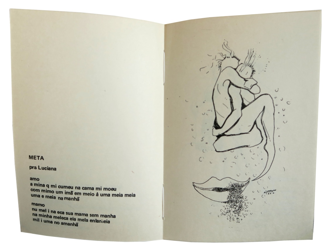 Eduardo Kac 24, Movimento de Arte Porn&ocirc;, Alternate Projects