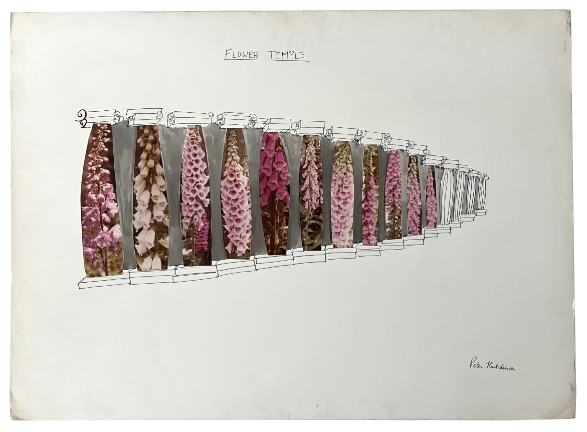 Peter Hutchinson, Flower Temple, Alternate Projects
