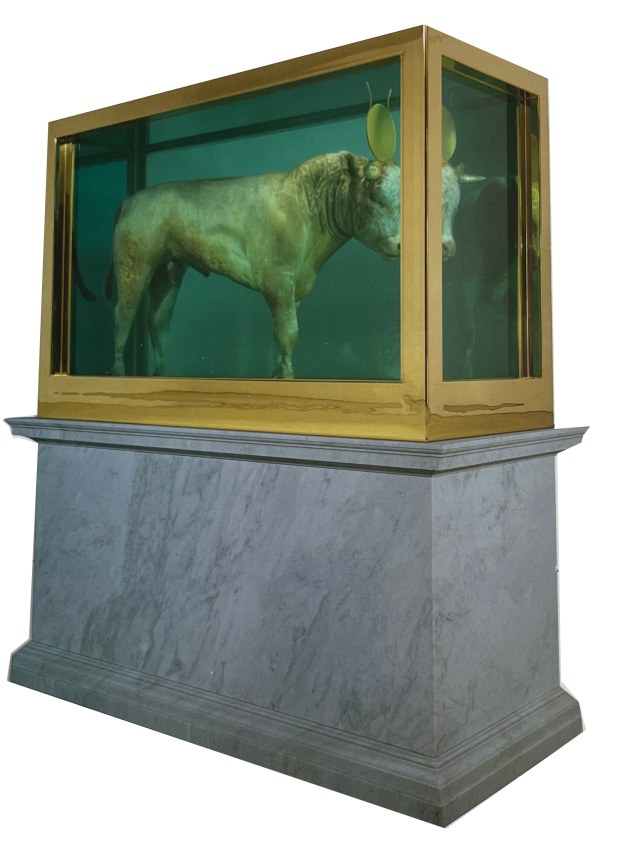 Damien Hirst