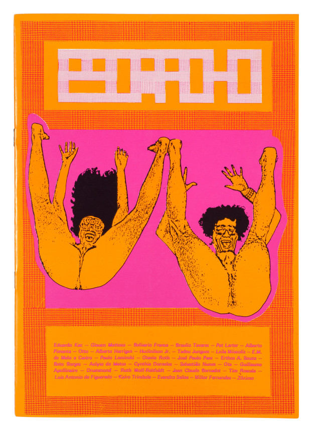 Eduardo Kac, Escracho, Alternate Projects, Porn Art Movement