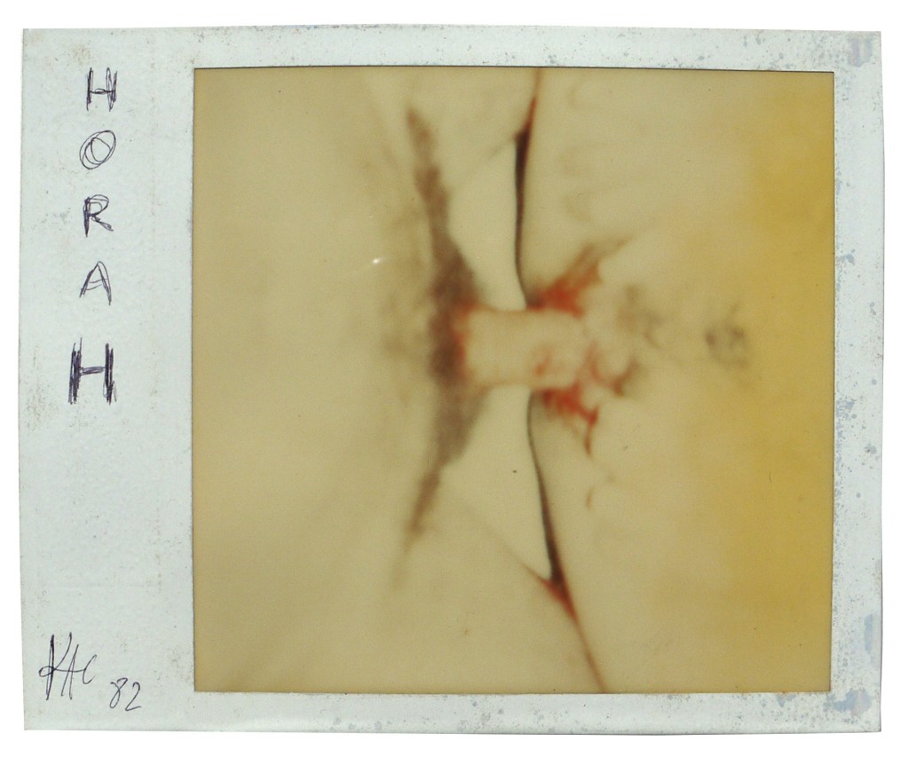 Eduardo Kac, Movimento de Arte, Porn&ocirc; Pornogram #9, Alternatie Projects