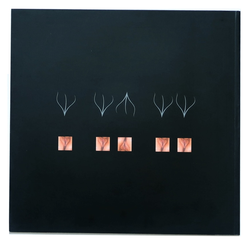 Eduardo Kac, Porn&eacute;ia, Alternate Projects