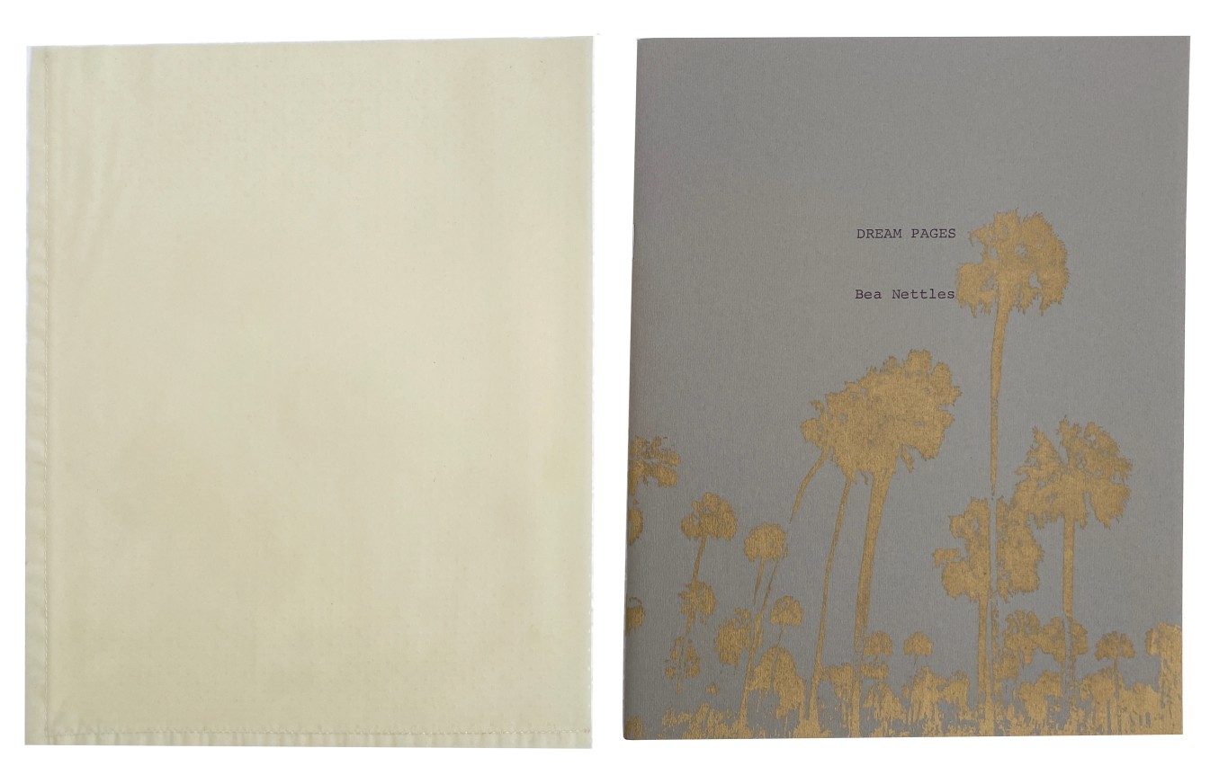 Bea Nettles, Dream Pages, Alternate Projects