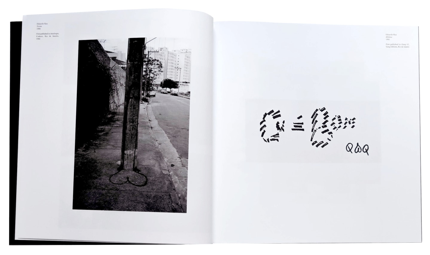 Eduardo Kac, Porn&eacute;ia, Alternate Projects