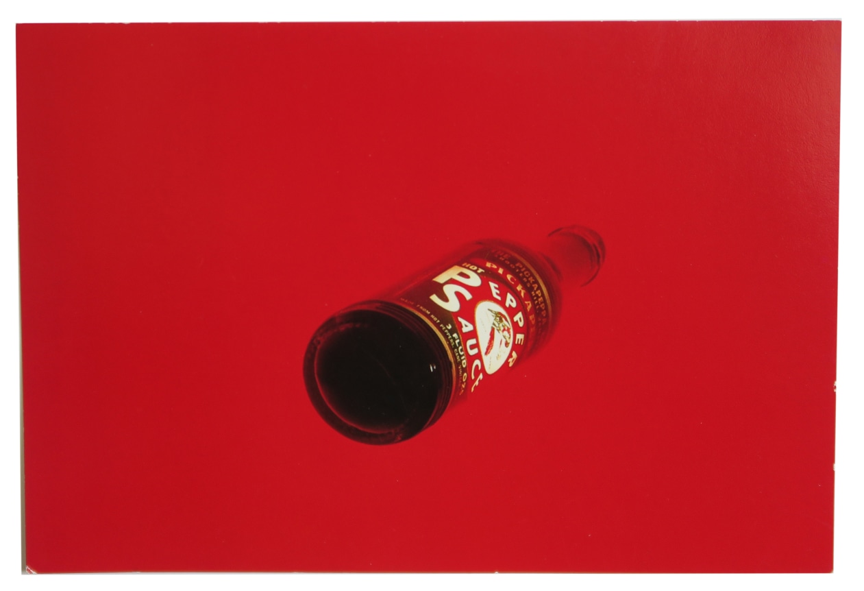 Bill Beckley The Nineties John Gibson Gallery, Alternate Projects