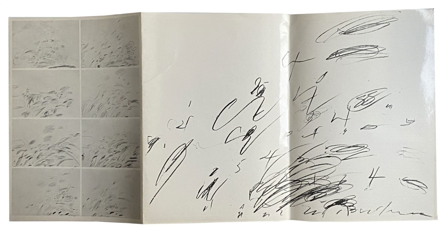 Cy Twombly