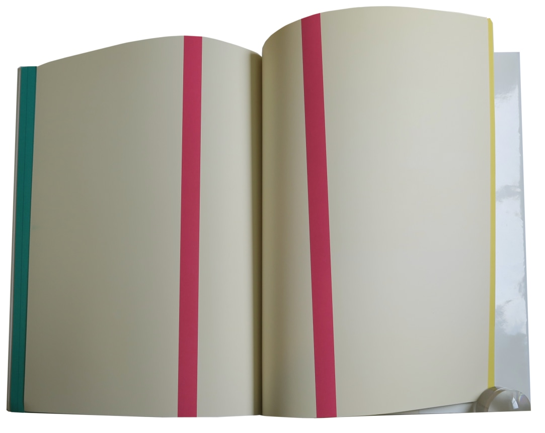 Olivier Mosset  Biennale di Venezia 1990, Alternate Projects