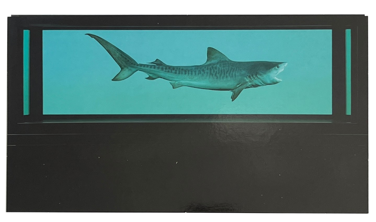 Damien Hirst