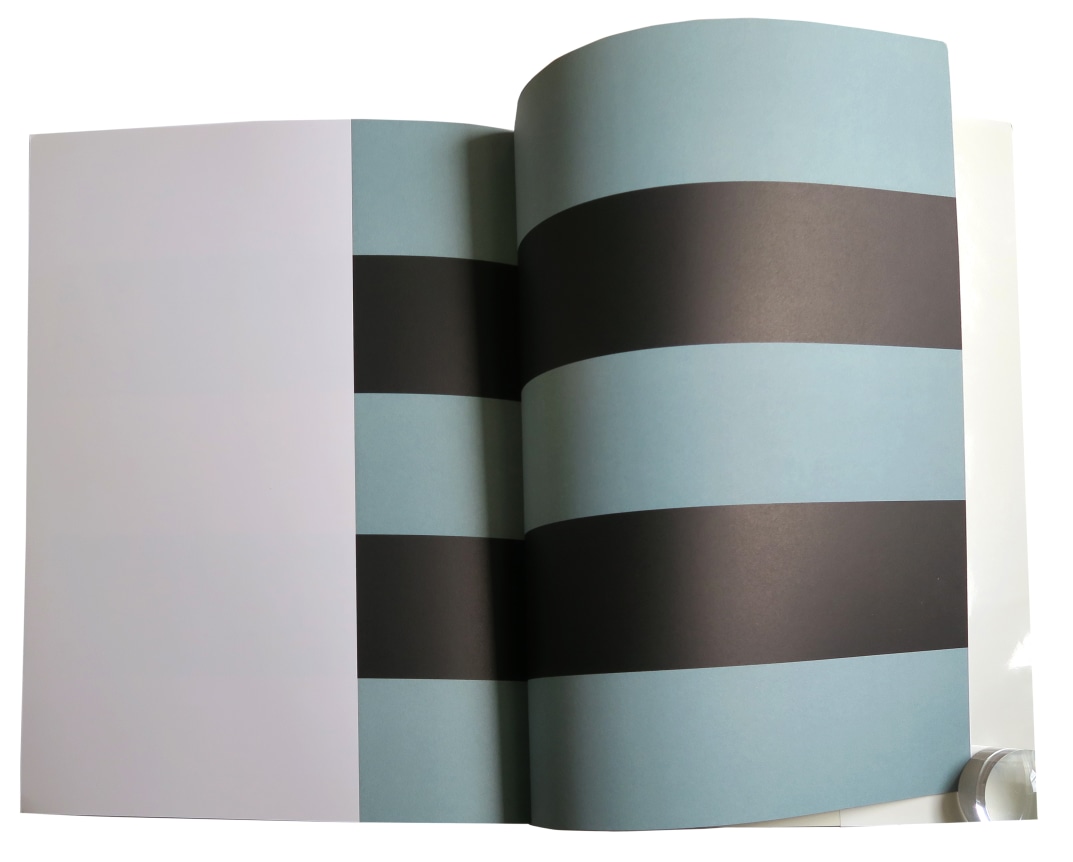 Olivier Mosset  Biennale di Venezia 1990, Alternate Projects