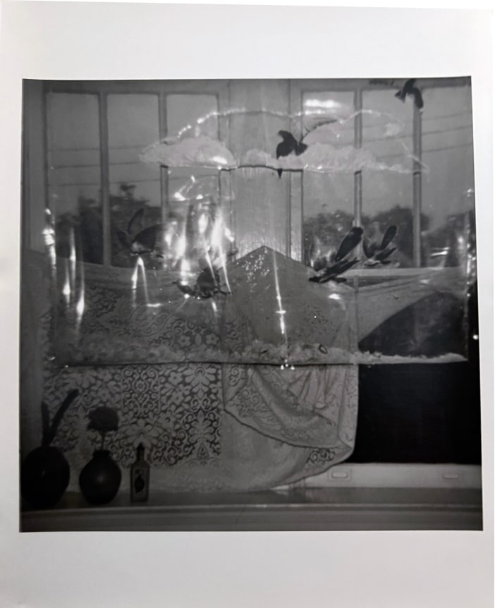 Bea Nettles  Escape #3: Birds in a Window Alternate Projects