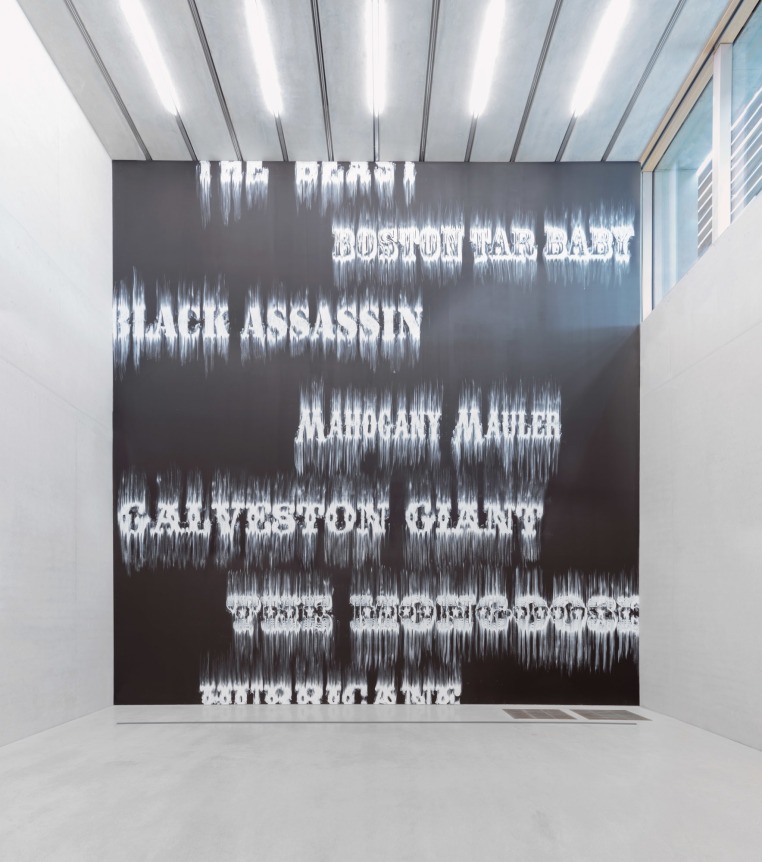 Installation view, 2014. Pérez Art Museum, Miami.
